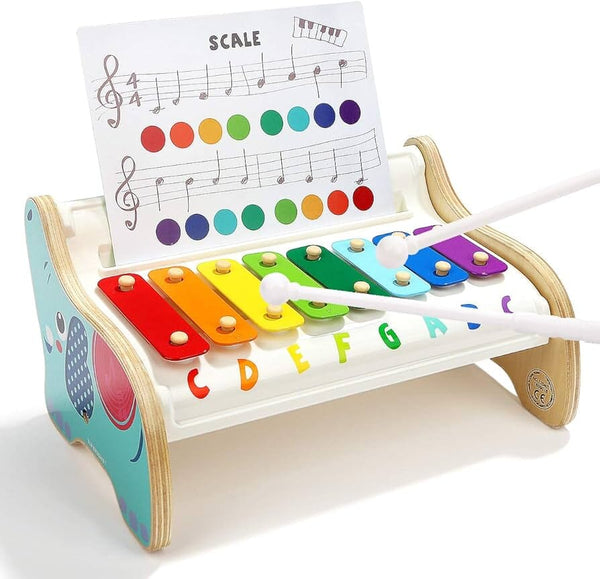 INSTRUMENTOS MUSICALES