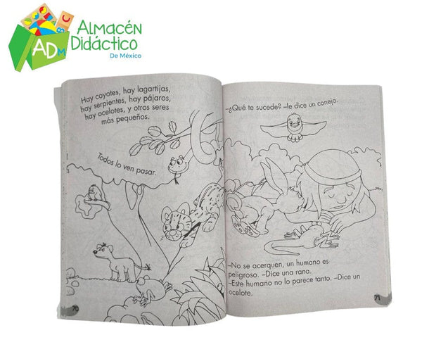 LIBRO JUMBO DE ORO