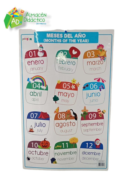 Lámina Estaciones/Meses del Año