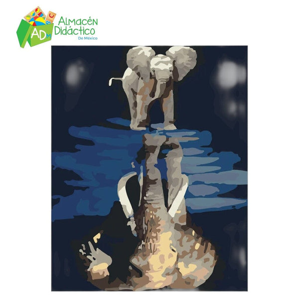 PINTA POR NUMERO - REFLEJO ELEFANTE