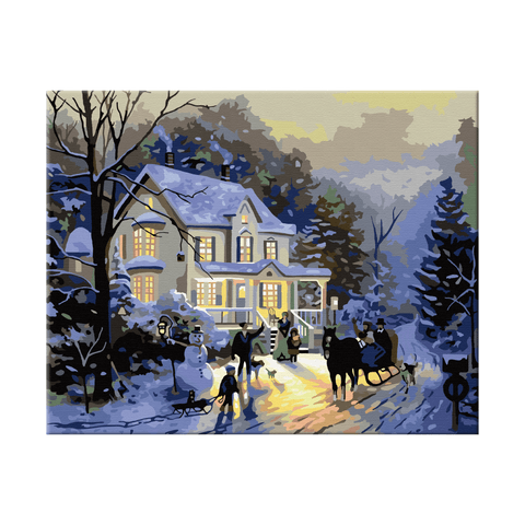 PINTA POR NUMERO - MANDALA NEVADA